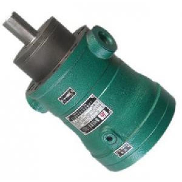 13MCY14-1B  fixed displacement piston pump #1 image