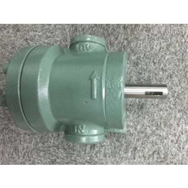 Daikin DV Series Single Stage Vane Pump #1 image