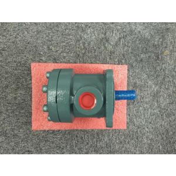 Daikin DV Series Single Stage Vane Pump #2 image