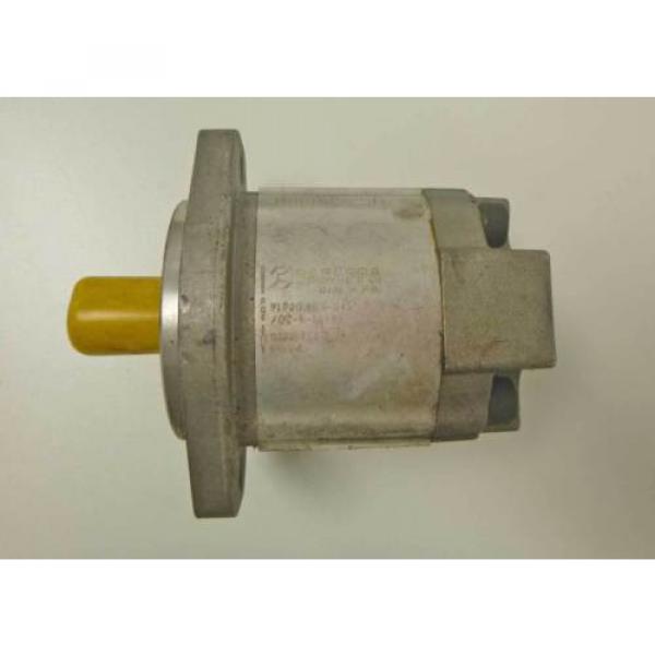 Casappa Hydro Gear  Pump #3 image