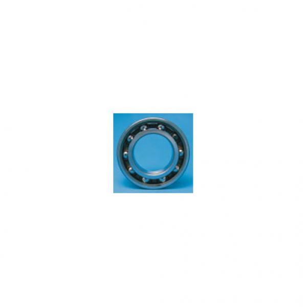 SKF 4207 ATN9 #1 image