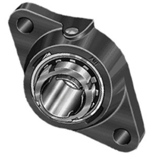 INA RCJTA35-N Flange Block Bearings #1 image