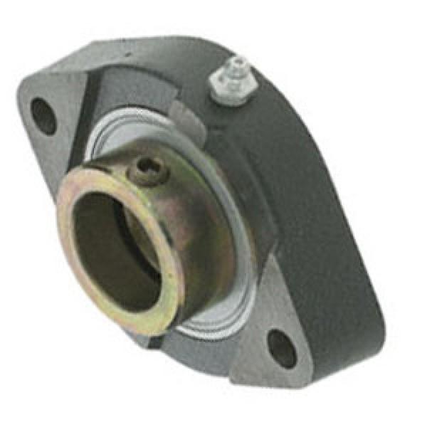 INA GLCTE25 Flange Block Bearings #1 image