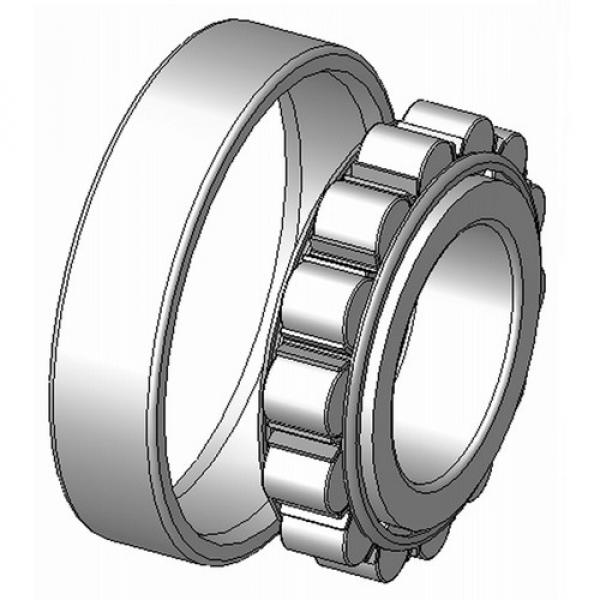 SKF N 322 ECP #1 image