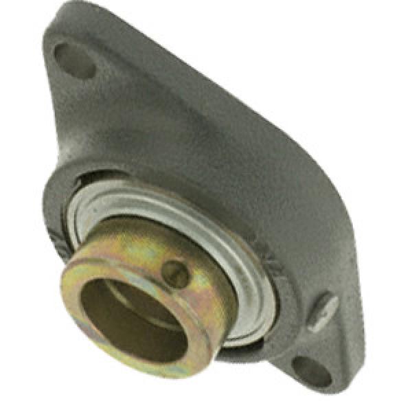 INA RCJT25-N Flange Block Bearings #1 image