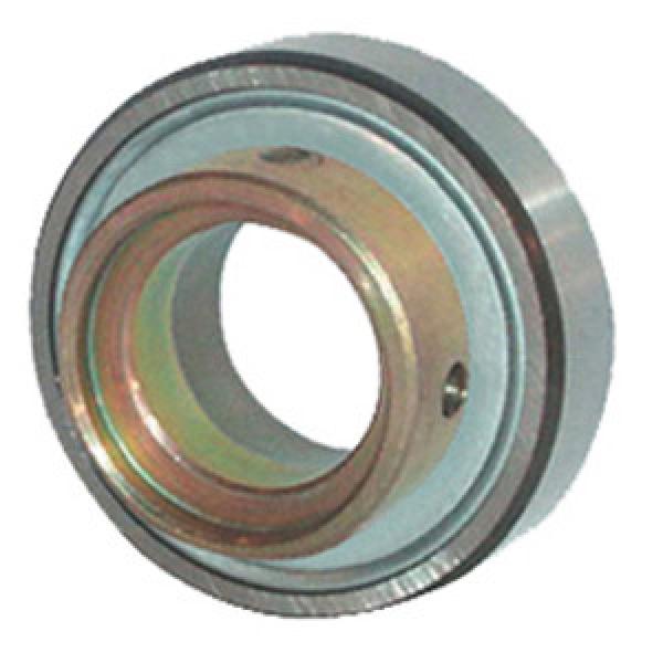 INA RAE17-NPP-FA106 Insert Bearings Cylindrical OD #1 image