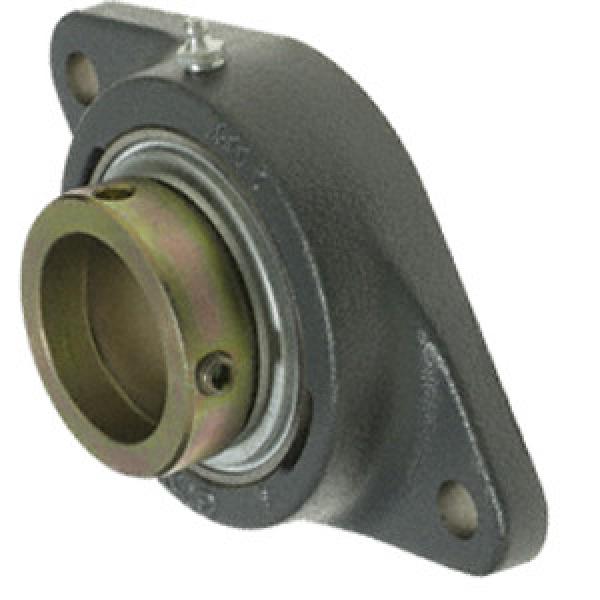 INA RCJTZ25 Flange Block Bearings #1 image