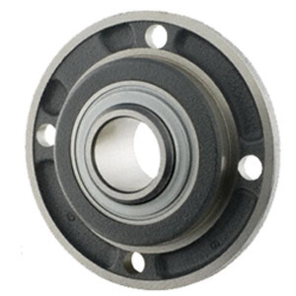 INA RMEY45 Flange Block Bearings #1 image