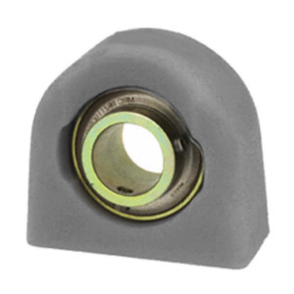 SKF ZTB012ZM Pillow Block Bearings #1 image