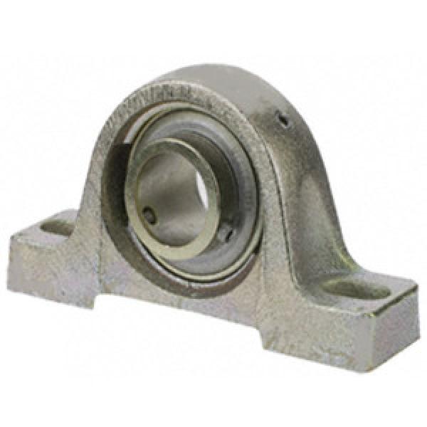 SKF ZPB102ZM Pillow Block Bearings #1 image