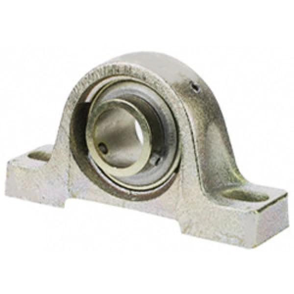 SKF SPB012SS Pillow Block Bearings #1 image