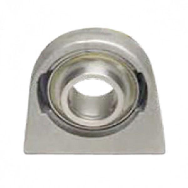 SKF CTB012ZMG Pillow Block Bearings #1 image