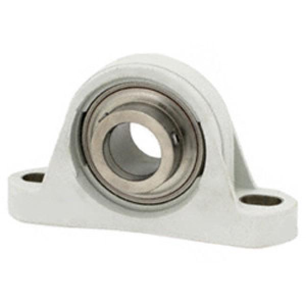 SKF CPB100SSG Pillow Block Bearings #1 image