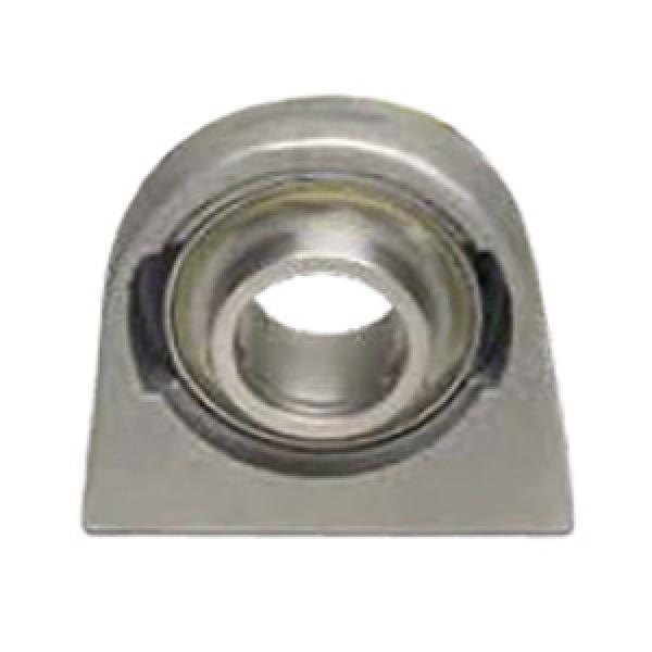 SKF CTB100SS Pillow Block Bearings #1 image