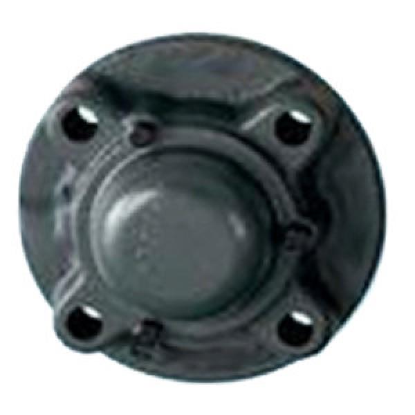 NTN CM-UCFC215D1 Flange Block Bearings #1 image