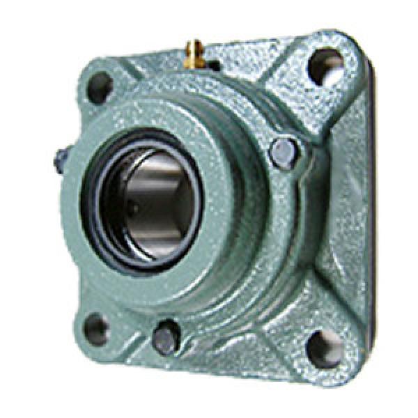 NTN C-UCF205D1 Flange Block Bearings #1 image