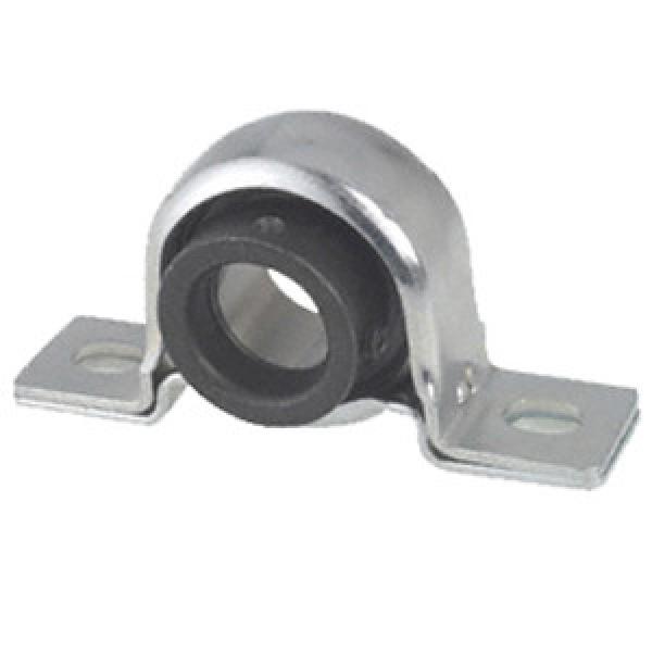 INA PB12 Pillow Block Bearings #1 image