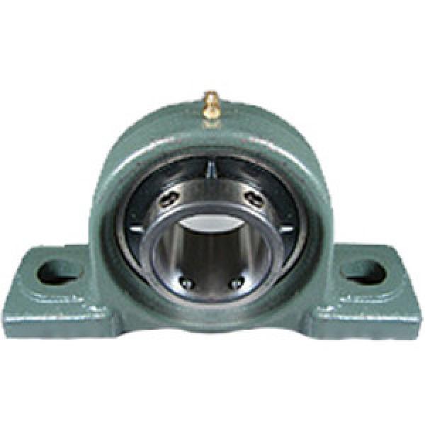 NTN UCP217D1 Pillow Block Bearings #1 image