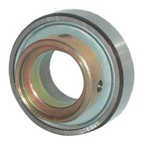 INA PE20 Insert Bearings Spherical OD #1 image