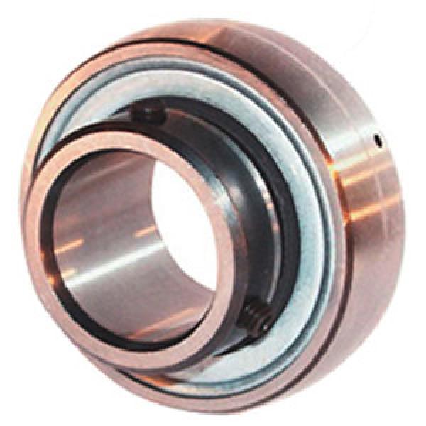 INA AY17NPPB Insert Bearings Spherical OD #1 image