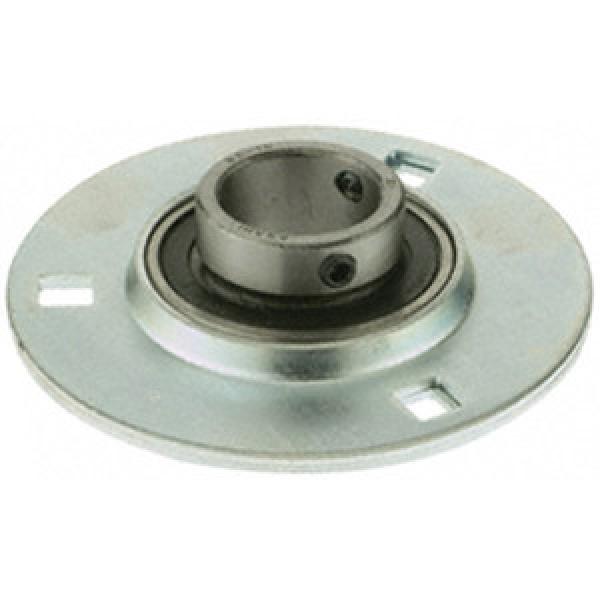 INA RA20 Flange Block Bearings #1 image