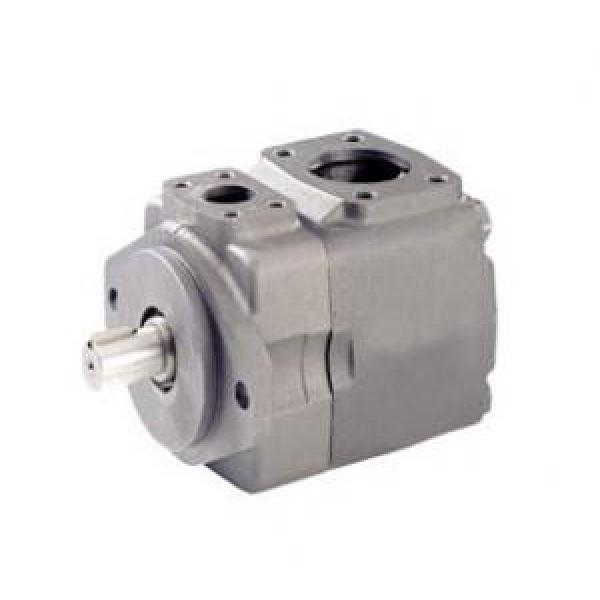 Rexroth Vane Pumps PVV41-1X/069-018RA15DDMC #1 image