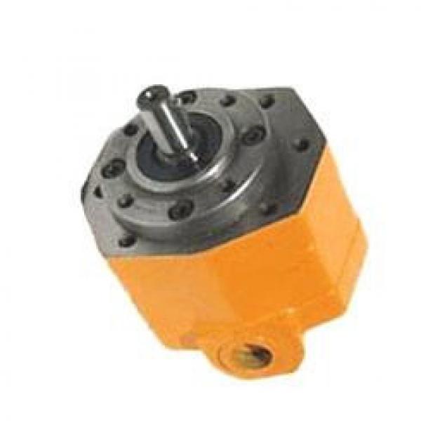 BB-B Series Cycloid Gear Pumps BB-B50 #1 image