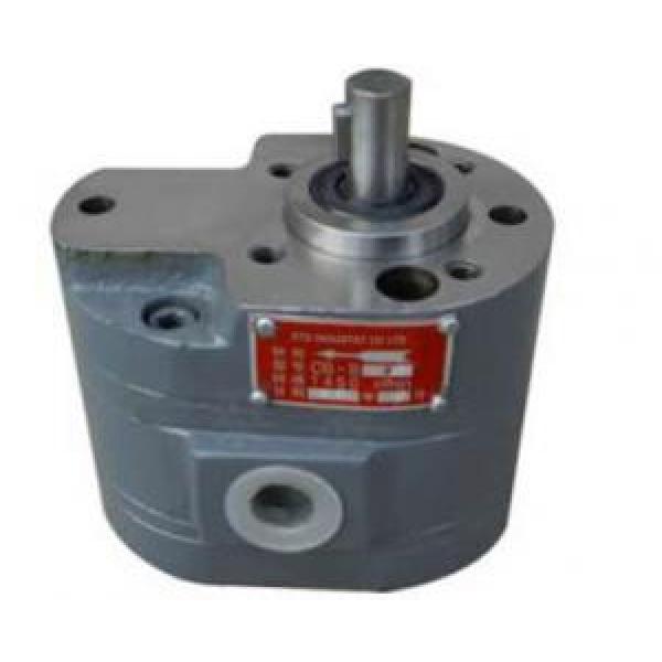 CB-B Dual Gear Pump CB-B10/10 #1 image