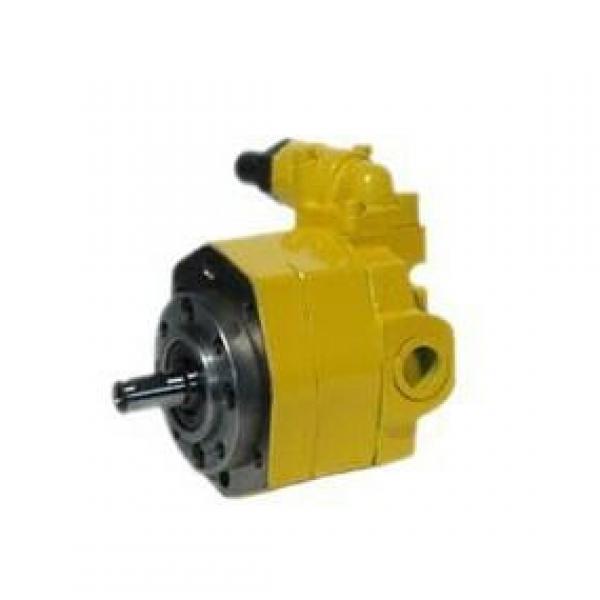 BB-B*Y Series Cycloid Gear Pump BB-B16Y #1 image