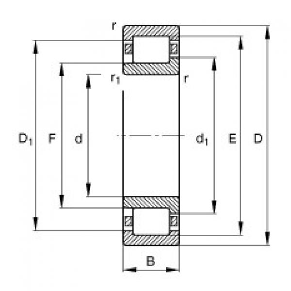 Cylindrical roller bearings - NJ203-E-XL-TVP2 #1 image