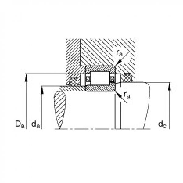 Cylindrical roller bearings - NJ203-E-XL-TVP2 #4 image