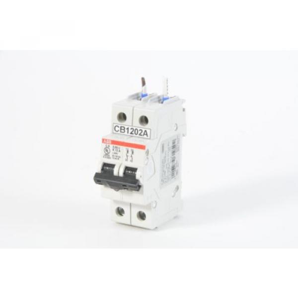 ABB S202U-K13, 2 Pole 13A, 240VAC Circuit Breaker #1 image