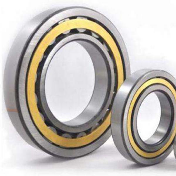 NU1040 NTN Cylindrical Roller Bearing Single Row #1 image