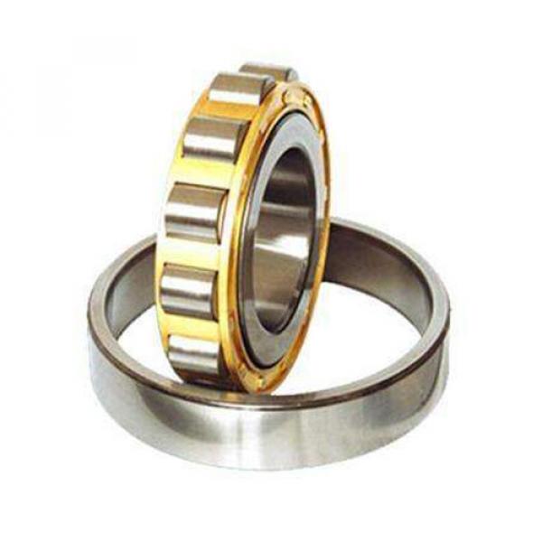 INA, SL 18 2912, Cylindrical Roller Bearing, SL182912 #1 image