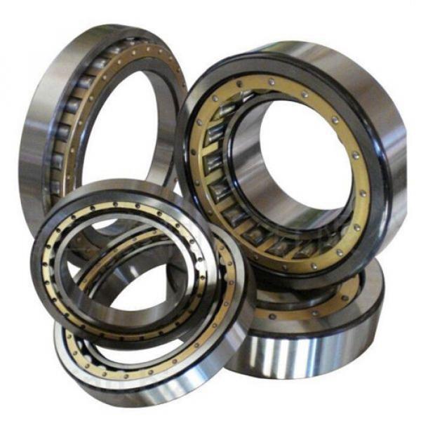 NJ2311EG C4 Nachi Cylindrical Roller Bearing Nylon Cage Japan 55x120x43 Cylindri #1 image