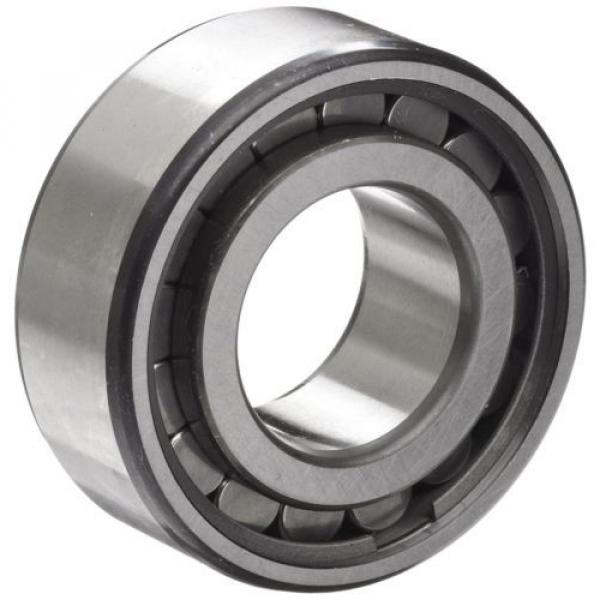 INA SL 18301 Cylindrical Roller Bearing Single Row,Removable Outer Ring, Flanged #2 image