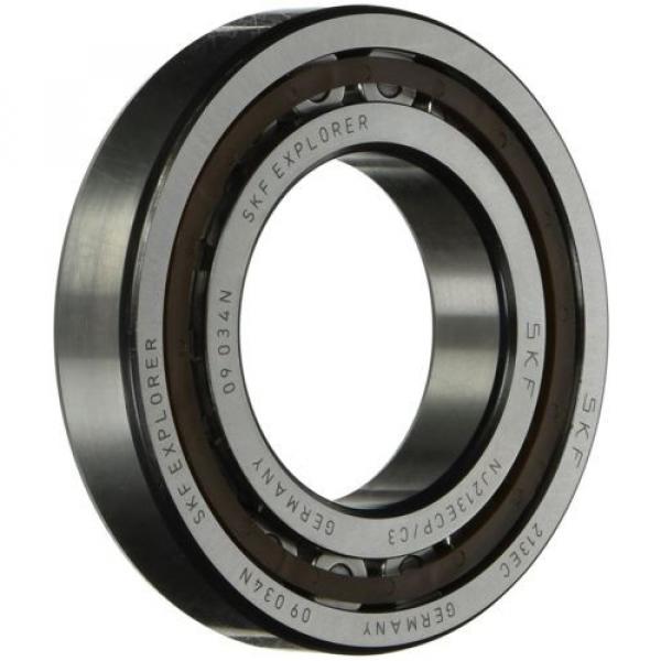 SKF NJ 203 ECP/C3 Cylindrical Roller Bearing, Single Row, Removable Inner Ring, #1 image