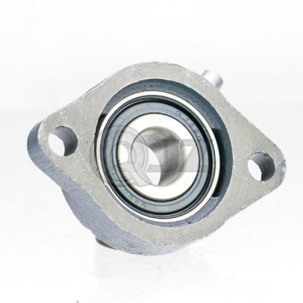 1 in 2-Bolt Flange Units Cast Iron SALF205-16 Mounted Bearing SA205-16+LF205 #3 image