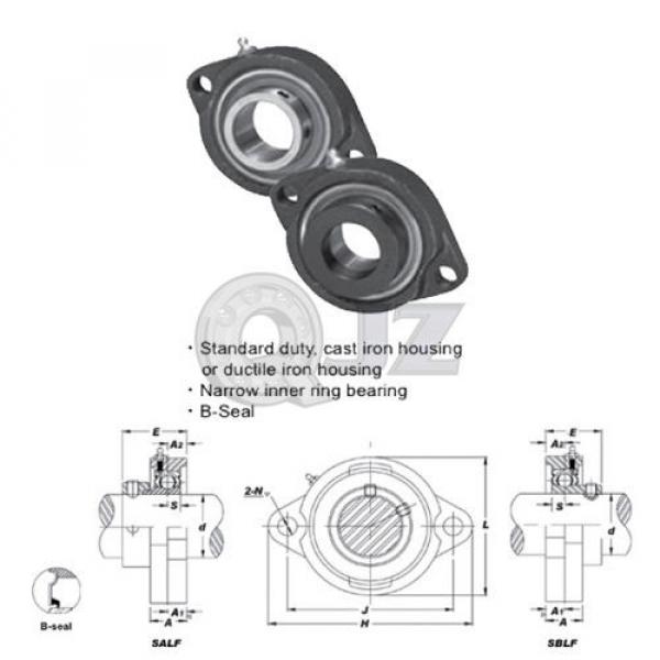 1 in 2-Bolt Flange Units Cast Iron SALF205-16 Mounted Bearing SA205-16+LF205 #4 image