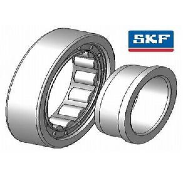 NJ204ECP 20x47x14mm SKF Single Row Cylindrical Roller Bearing #1 image