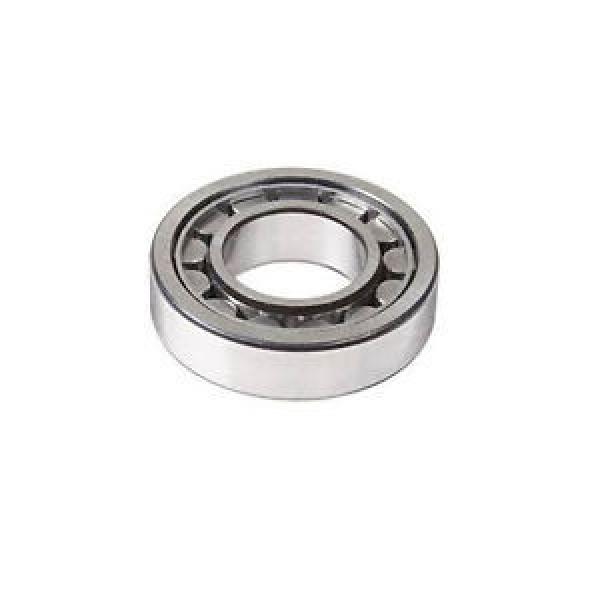 N204 Cylindrical Roller Bearing 20mmX47mmX14mm Quality Bearing #1 image