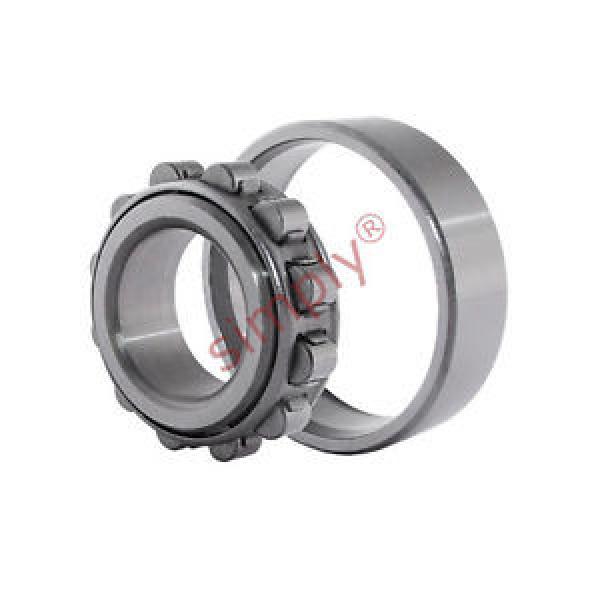 N311 Budget Single Row Cylindrical Roller Bearing 55x120x29mm #1 image