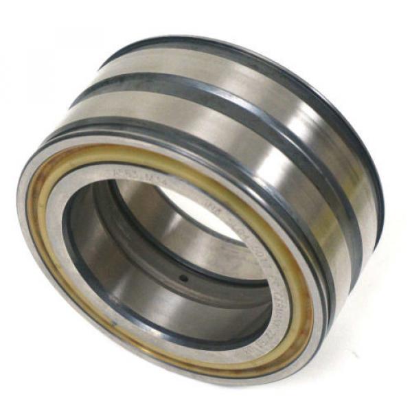 NEW INA SL045017-PP DOUBLE ROW CYLINDRICAL ROLLER BEARING, SL045017PP #4 image