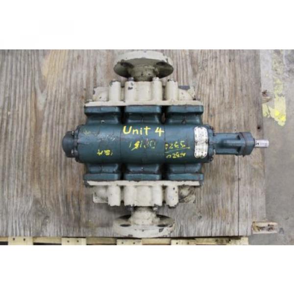 ROPER FIGURE 2919 TYPE 1 GE 233A8307 HYDRAULIC OIL 2&#034; INLET / 2&#034; OUTLET  Pump #1 image