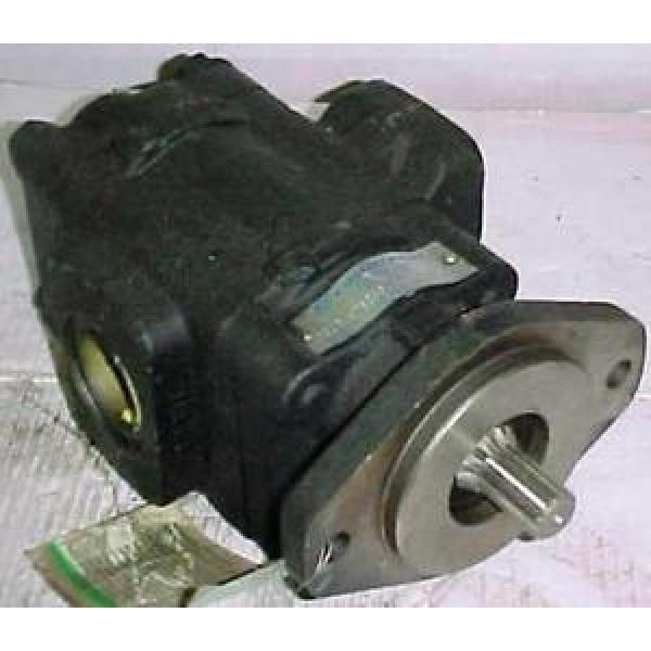 Commercial Shearing Hydraulic Gear P330B197BIAB1225GV Pump #1 image