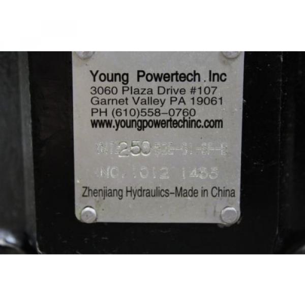 REBUILT YOUNG POWERTECH YMTE250B2EG1SFB HYDRAULIC 11/4&#034; SHAFT DIA.  Pump #2 image