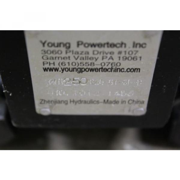 REBUILT YOUNG POWERTECH YMTE250B2EG1SFB HYDRAULIC 11/4&#034; SHAFT DIA.  Pump #3 image