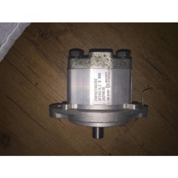 Bucher Hydraulic Gear AP200/6,5 D 880 Pump #2 image