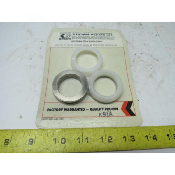 Graco 215964 Repair Kit For Repairing or Converting 1:1 Metric FastFlo  Pump #1 image