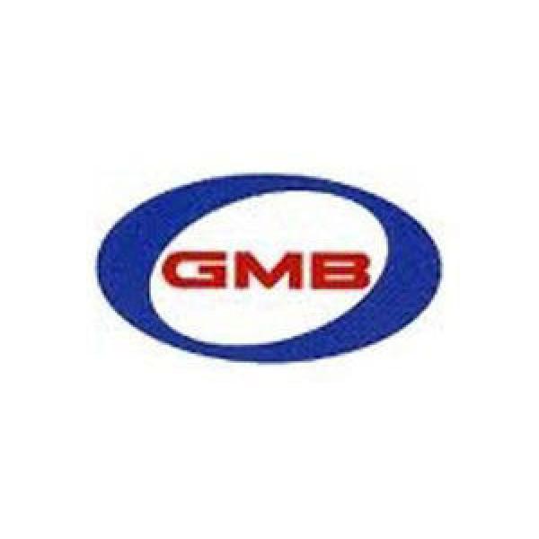 Wheel Bearing and Hub Assembly-Hub Assembly Rear GMB fits 01-07 Ford Focus #1 image